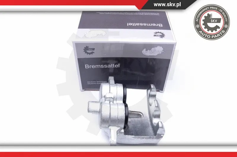 Brake Caliper (44SKV621)