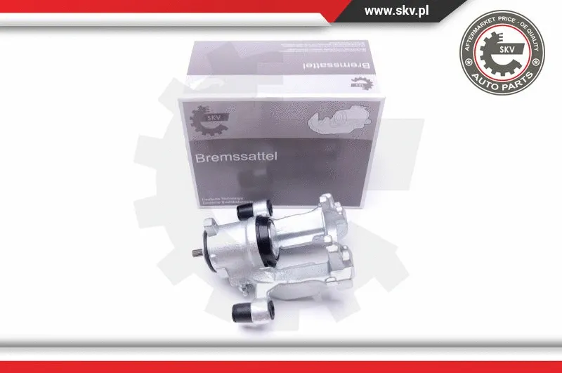 Brake Caliper (44SKV423)