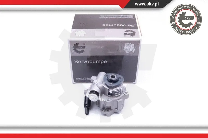 Hydraulic Pump, steering (10SKV172)