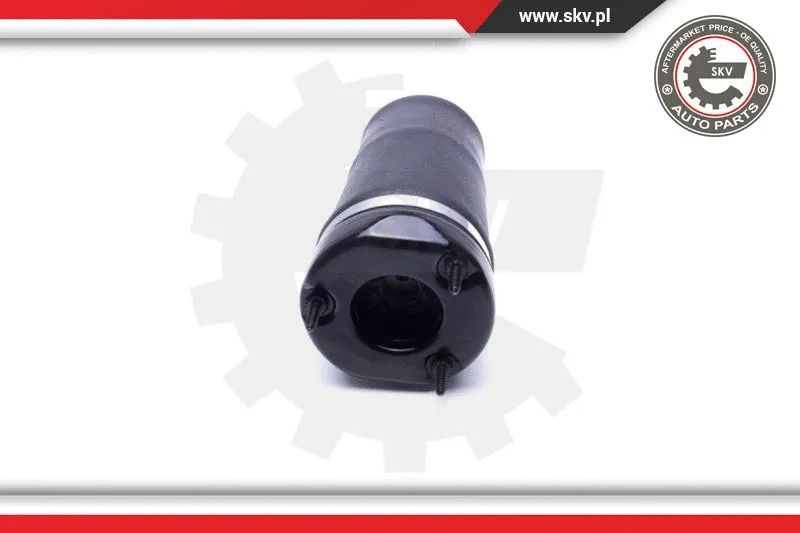 Air Suspension Strut