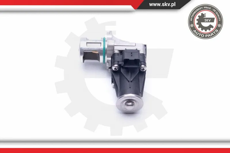 EGR Valve