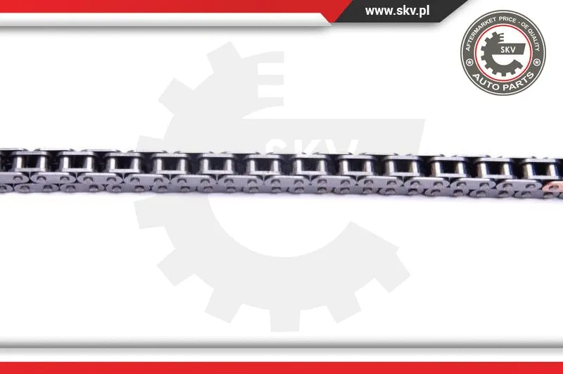 Timing Chain Kit
