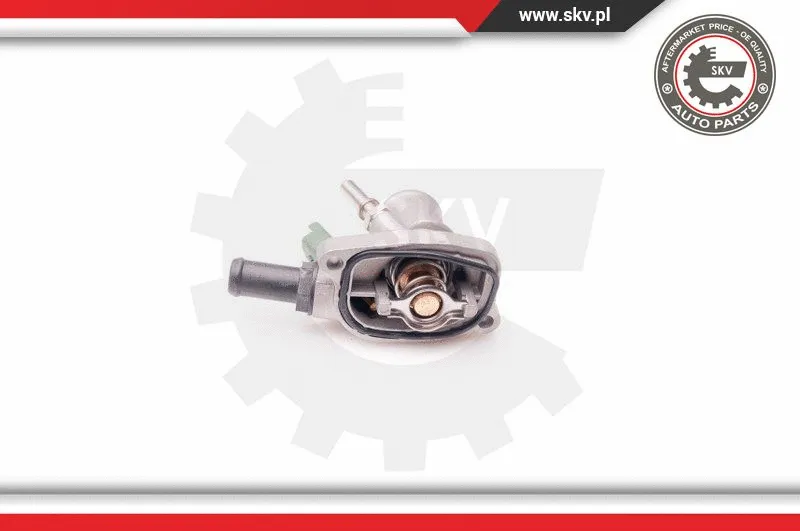 Thermostat, coolant