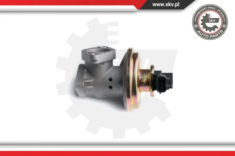 EGR Valve