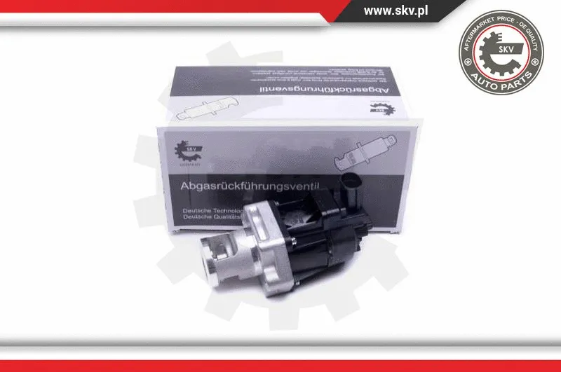 EGR Valve (14SKV217)