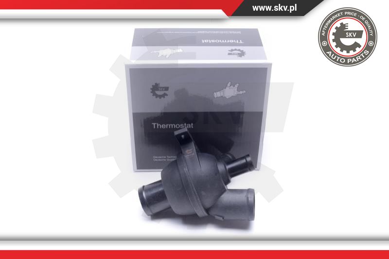 Thermostat, coolant (20SKV198)