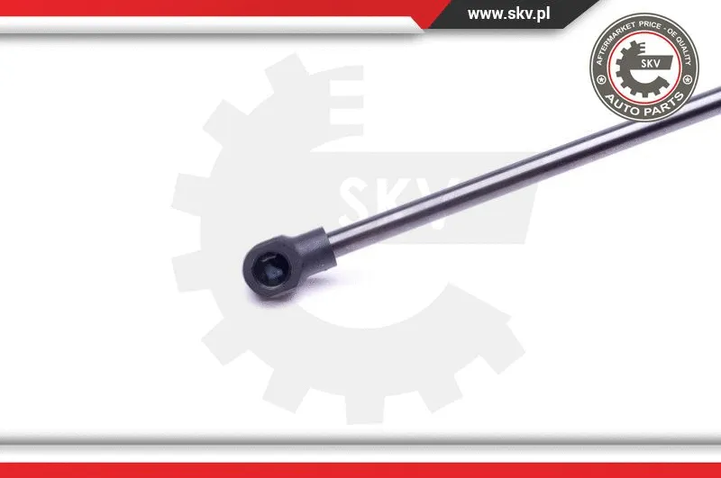 Gas Spring, boot/cargo area