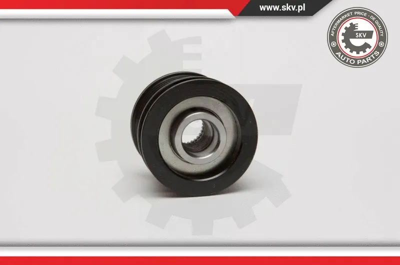 Alternator Freewheel Clutch