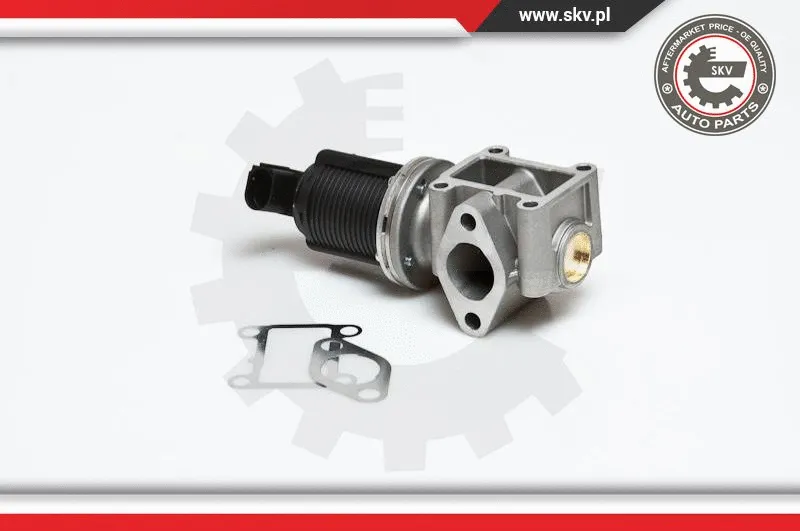 EGR Valve