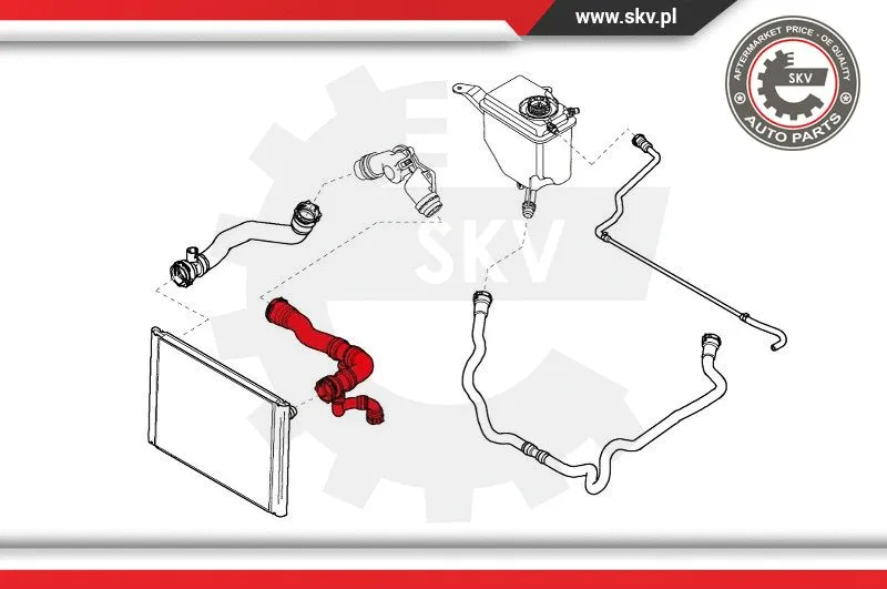 Radiator Hose