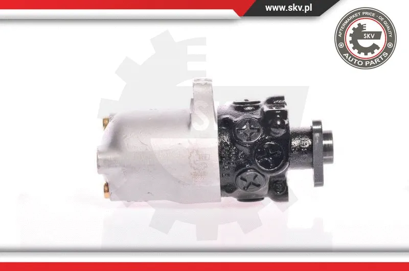 Hydraulic Pump, steering (10SKV084)