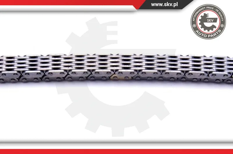 Timing Chain Kit
