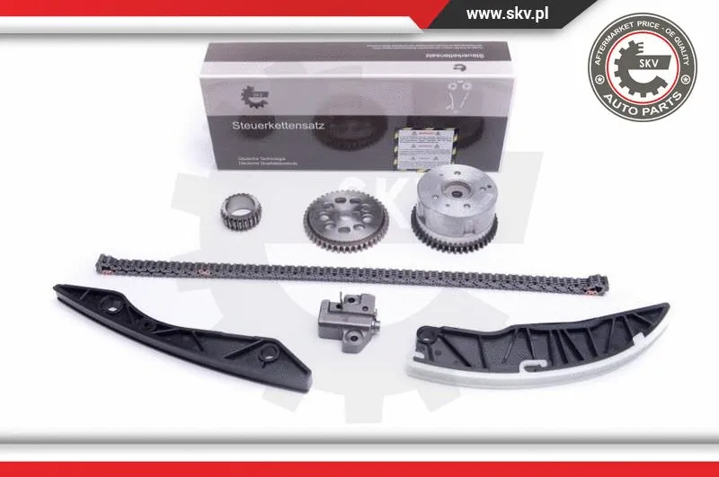 Timing Chain Kit (21SKV151)