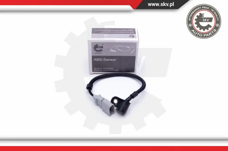Sensor, camshaft position (17SKV486)