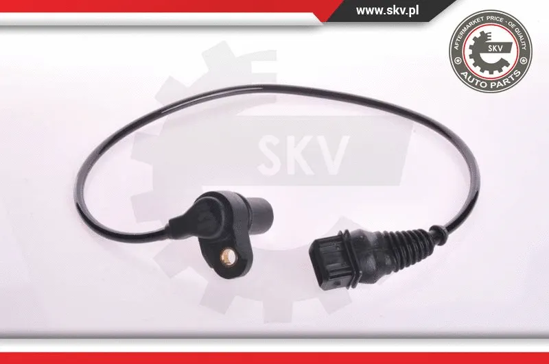 Sensor, camshaft position (17SKV231)