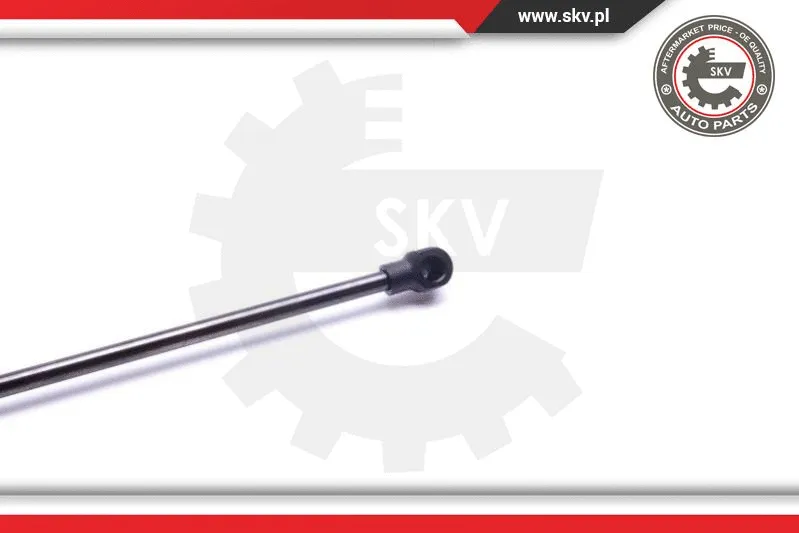 Gas Spring, boot/cargo area