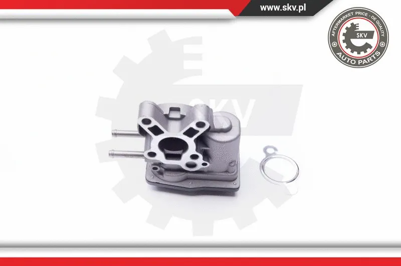 EGR Valve