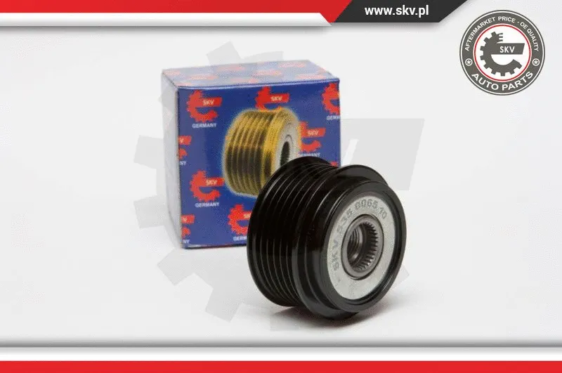 Alternator Freewheel Clutch (11SKV033)