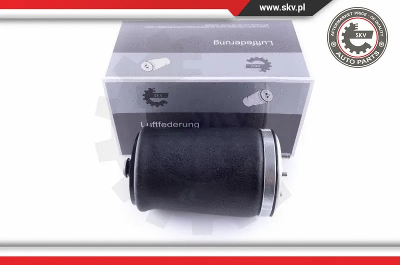 Air Spring, suspension (58SKV003)