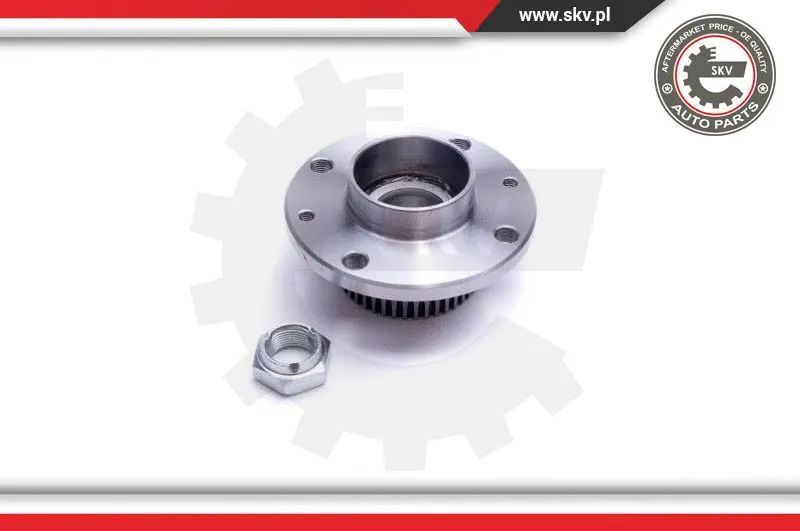 Wheel Bearing Kit