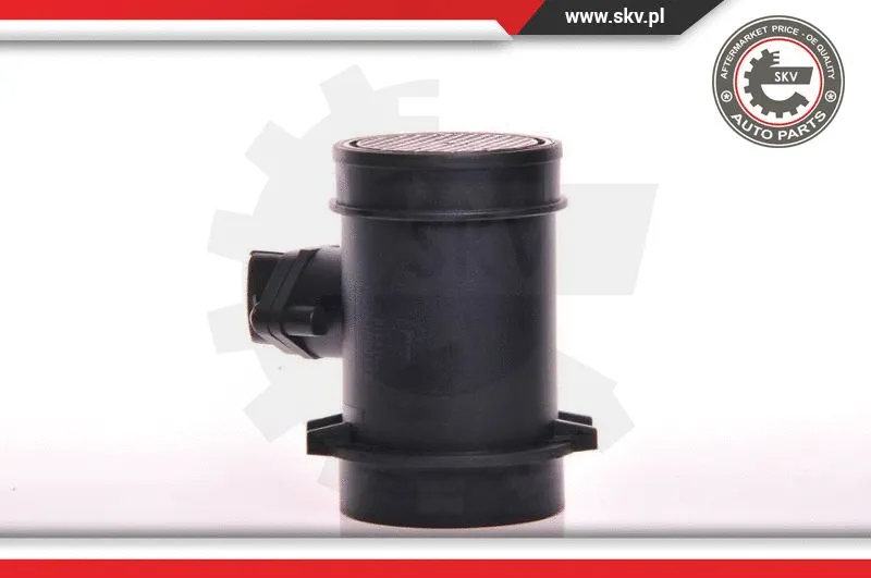 Mass Air Flow Sensor