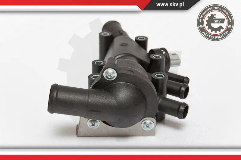 Thermostat, coolant