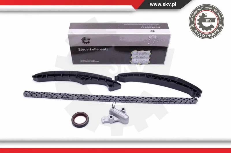Timing Chain Kit (21SKV236)