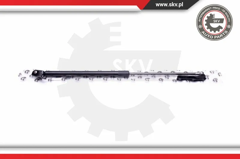 Gas Spring, boot/cargo area