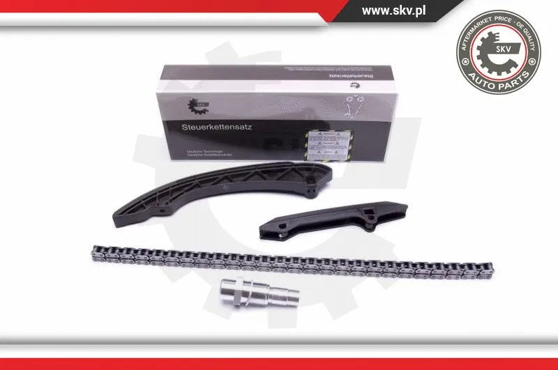 Timing Chain Kit (21SKV136)