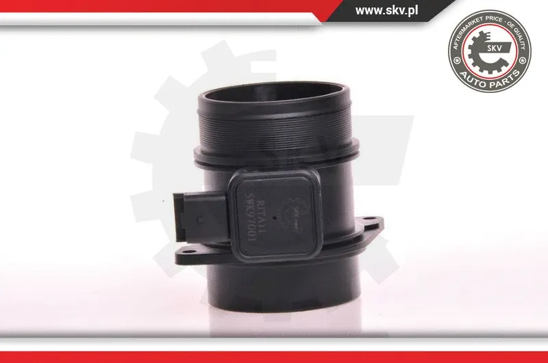 Mass Air Flow Sensor