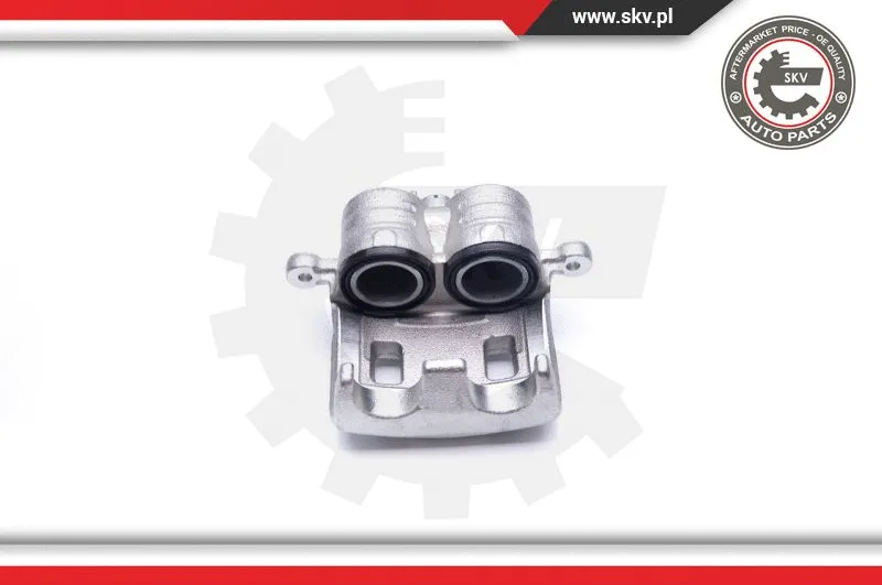 Brake Caliper (42SKV441)
