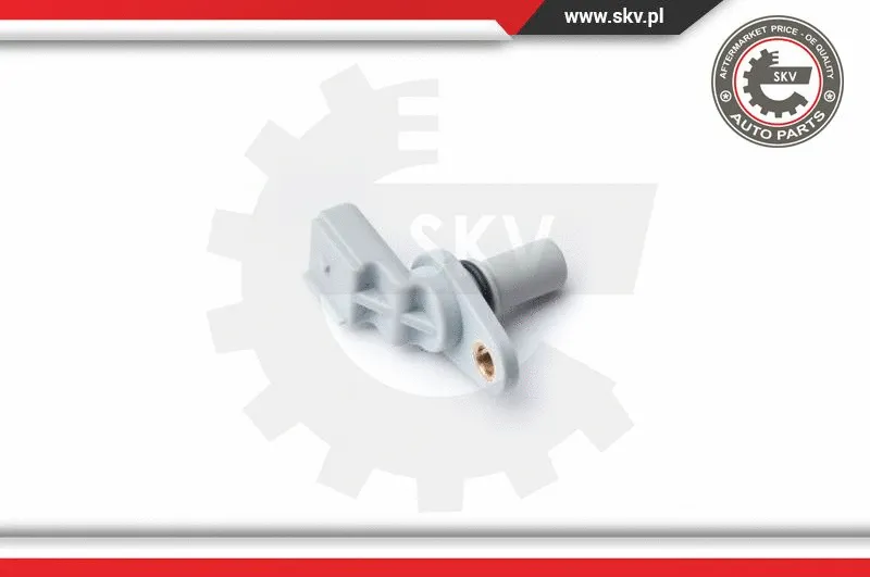 Sensor, camshaft position (17SKV257)