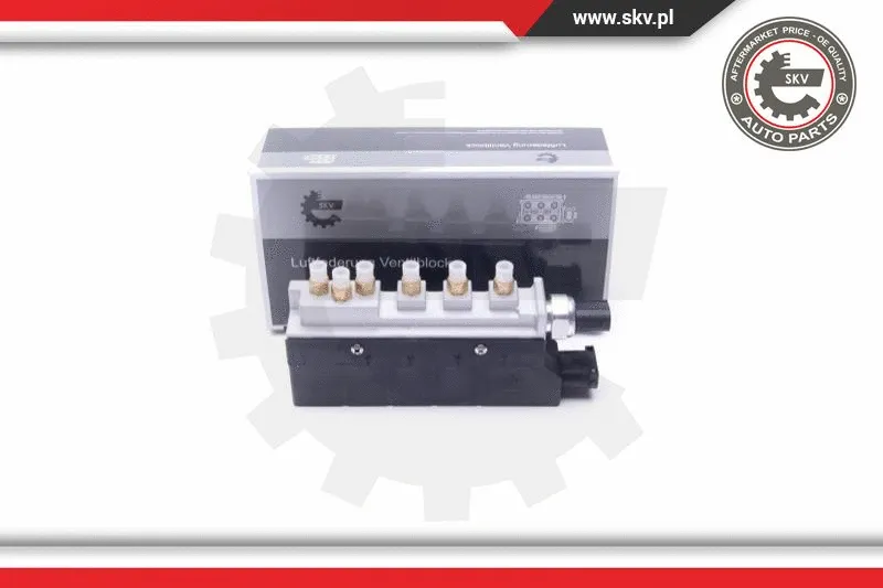 Valve, compressed-air system (93SKV802)