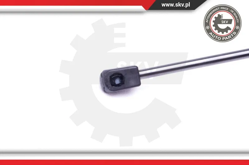 Gas Spring, boot/cargo area