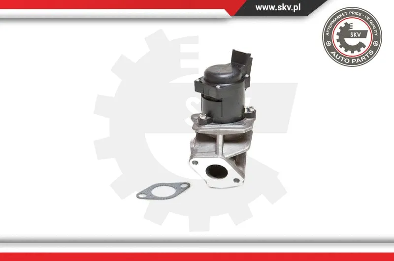 EGR Valve