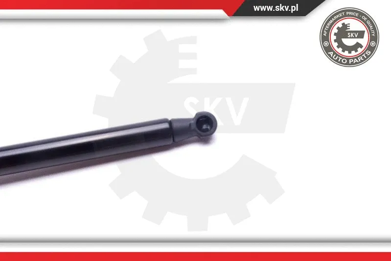 Gas Spring, boot/cargo area