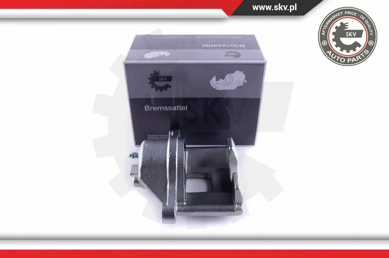 Brake Caliper (55SKV462)