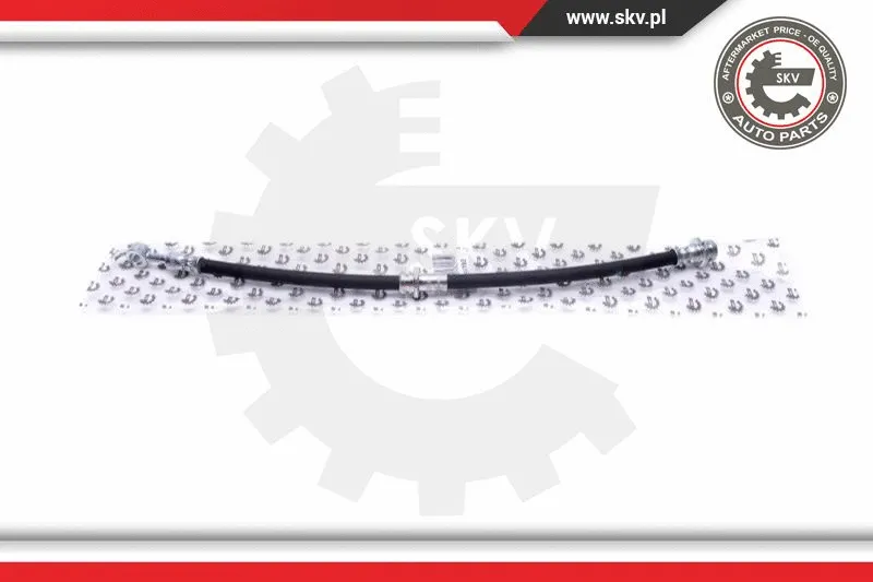 Brake Hose (35SKV160)