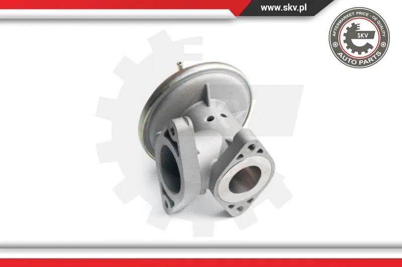 EGR Valve