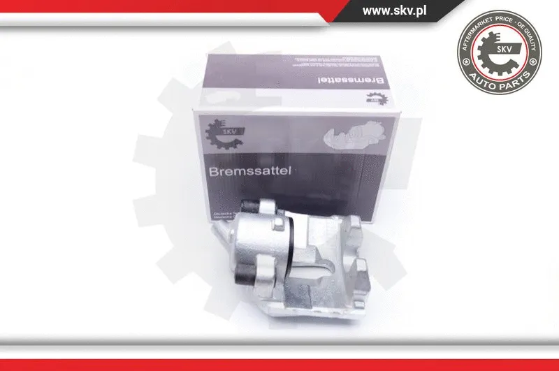 Brake Caliper (42SKV022)