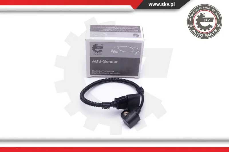 Sensor, camshaft position (17SKV484)