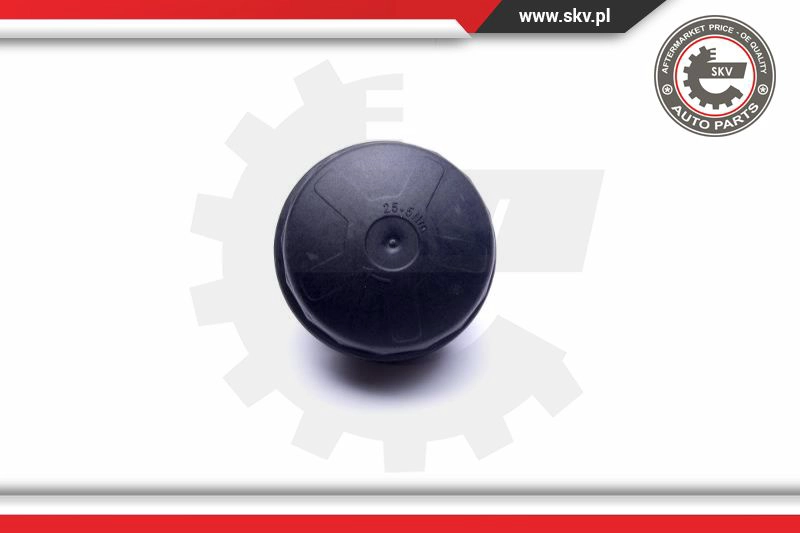 Cap, oil filter housing