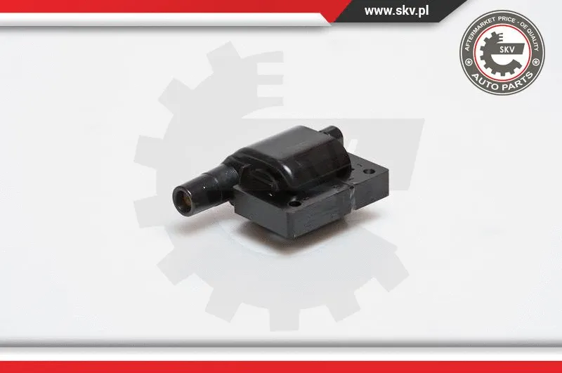 Ignition Coil (03SKV089)