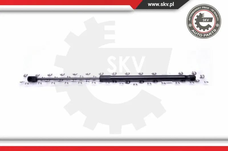 Gas Spring, boot/cargo area