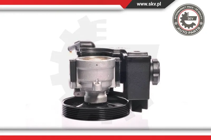 Hydraulic Pump, steering (10SKV159)