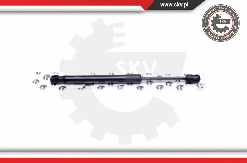 Gas Spring, boot/cargo area