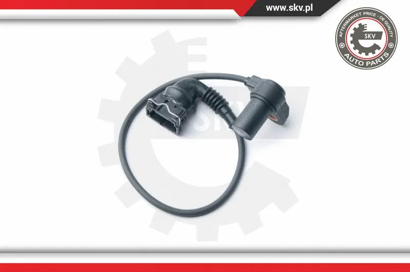 Sensor, camshaft position (17SKV238)