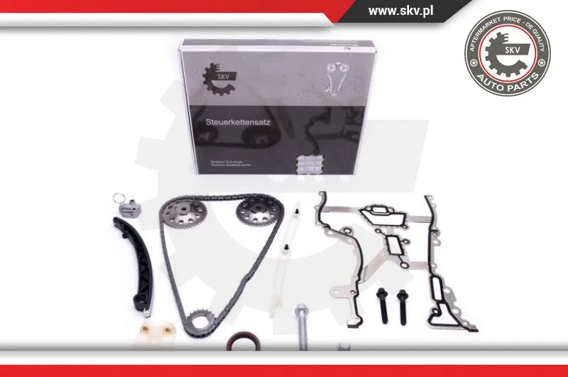 Timing Chain Kit (21SKV111)