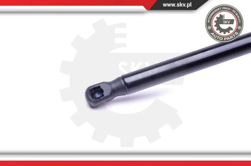 Gas Spring, boot/cargo area