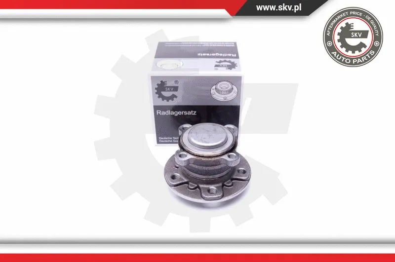 Wheel Bearing Kit (29SKV303)